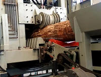 Machine à écorcher et à dimensionner les grumes Hanvy pour le contreplaqué, le panneau de particules, la scierie et le MDF
