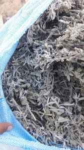 Salvia de alta calidad directamente de la fábrica Egipto Entrega rápida Procesamiento crudo seco popular Supervisión estricta Especias individuales Hierbas - Product Image 6