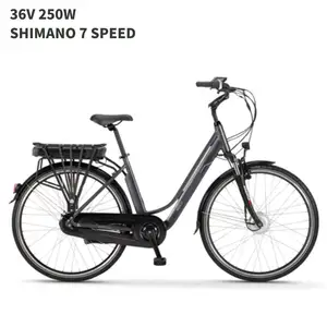 Lloy-Bicicleta eléctrica de montaña con asiento trasero, bici con batería de litio de 28 pulgadas y 7 S