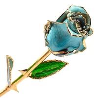 Véritable rose galaxie trempée en or 24 carats faite à la main pour la Saint-Valentin et la fête des mères Idée cadeau unique