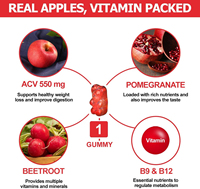 Vente chaude de jus Mg plus élevé dans la gomme de vinaigre liquide perte gomme pomme cidre vinaigre gommes pour la perte de poids