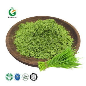 Fruiterco, Etiqueta Privada, polvo de hierba de trigo orgánico Natural, polvo de hierba de cebada, polvo de hierba de trigo - Product Image 1