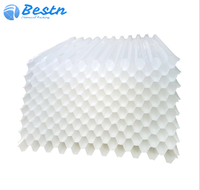 Bestn BS-LS PP/PVC Plaque lamellaire inclinée alvéolée 1x1m, clarificateur, filtre à lamelles moulé par injection, média filtrant pour la filtration de l'eau
