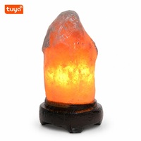 Lampe de sel de l'Himalaya intelligente Tuya, solution de contrôle de l'éclairage ambiant (activation/déactivation, gradation et réglage des couleurs), développement de carte PCBA