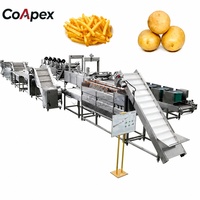 CoApex 500-1000kg/h Friteuse Automatique Industrielle pour Frites, Frites de Pommes de Terre, Frites Françaises, Fruits et Légumes Surgelés, Garantie 2 Ans