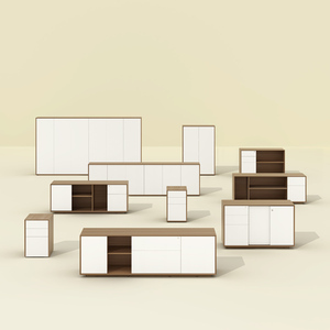 Giá Nhà Máy Kệ Sách Bằng Gỗ Lưu Trữ Điều Hành Văn Phòng Tủ Hồ Sơ Với Cửa Kính - Product Image 6