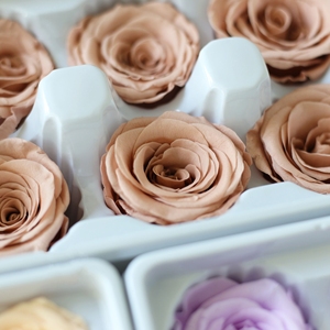 <span class=keywords><strong>Viola</strong></span> per sempre-rose di lunga durata 4-5cm conservati <span class=keywords><strong>fiori</strong></span> immortali realistici di natale e la festa della mamma rose - Product Image 3