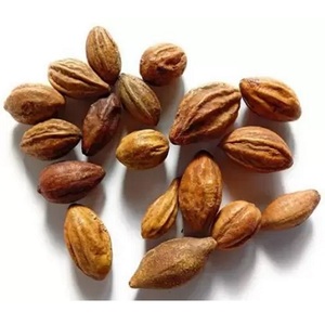 Haritaki Puro Entero, Apoyo Herbal Natural para el Bienestar Digestivo, Desintoxicación, Equilibrio Inmunológico y Vitalidad Diaria - Product Image 3