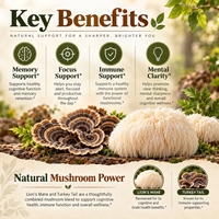 Capsules de Champignons Complexe Crinière de Lion OEM 1200mg 60 Capsules Marque Privée Complément Alimentaire pour la Mémoire, la Concentration et le Soutien Immunitaire