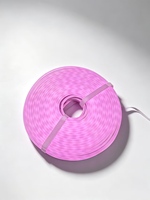 Bande lumineuse LED néon flexible SMD DC24V 2835 5050 RGB IP67 en PVC étanche avec contrôle par application pour enseignes extérieures