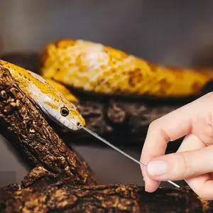 Satu Set prob reptil profesional, dengan ujung bola bulat detektor identifikasi jenis kelamin ular reptil multifungsi - Product Image 4