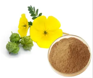 Melhor preço e melhor qualidade de 100% saponins naturais puros extrato de 40% 90% tribulus terrestris