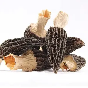 价格2021黑色新鲜羊肚菌蘑菇干野生香菇出售