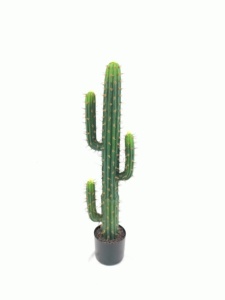 <span class=keywords><strong>Amazon</strong></span> Vente Chaude Nord UE Plantes de Verdure <span class=keywords><strong>Cactus</strong></span> <span class=keywords><strong>Artificiel</strong></span> 100cm - Product Image 3