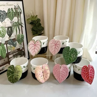 Tasse à café en céramique artisanale en forme de feuille de Monstera, sous glaçure, faite à la main