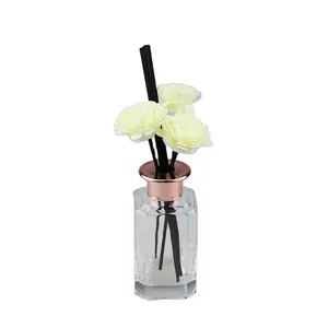 Bottiglia di vetro di lusso diffusore di fiori di Reed essiccati in scatola regalo con bastoncini di Rattan per l'aroma di auto per l'home Office per alberghi