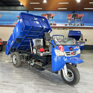 <span class=keywords><strong>Triciclo</strong></span> <span class=keywords><strong>de</strong></span> <span class=keywords><strong>Carga</strong></span> Motorizado Diésel <span class=keywords><strong>de</strong></span> 3 Ruedas con Capacidad <span class=keywords><strong>de</strong></span> <span class=keywords><strong>Carga</strong></span> <span class=keywords><strong>de</strong></span> 1-5 Toneladas para Agricultura y Entrega con Motocicleta - Product Image 6