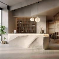 Comptoir de réception haut de gamme en fibre de verre Alien pour hôtel, magasin de vêtements, café, salon de beauté - Comptoir d'accueil, table de caisse