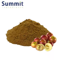 Poudre d'extrait de Camu Camu de qualité alimentaire de haute qualité