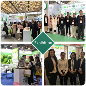 CAS 9012-76-4 пищевой порошок хитозана 80% 85% 90% - Product Image 6