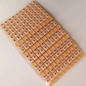 600 pièces (WangBuLiu) autocollants auriculaires <span class=keywords><strong>de</strong></span> stimulation <span class=keywords><strong>de</strong></span> pression d'acupoint graines <span class=keywords><strong>de</strong></span> <span class=keywords><strong>vaccaria</strong></span> - Product Image 6