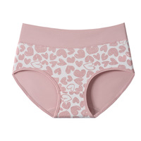 Culottes taille haute grande taille tendance transfrontalière - Coton mignon antibactérien pour étudiantes