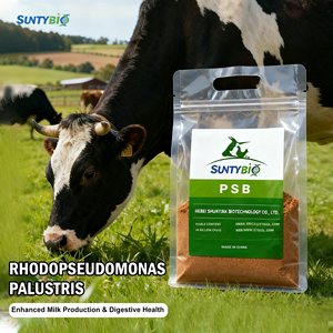 Bacterias fotosintéticas para acuicultura, aminoácidos de grado alimenticio, aditivos para alimento de peces y camarones - Product Image 2