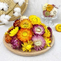 Thé de chrysanthème arc-en-ciel | Beaux pétales et teinte vive au parfum floral naturel