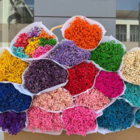 Bouquet de Gypsophile séchée et préservée Zante, blanc, 350-400g, pour mariage, Saint-Valentin, Fête des Mères, Noël, Yunnan