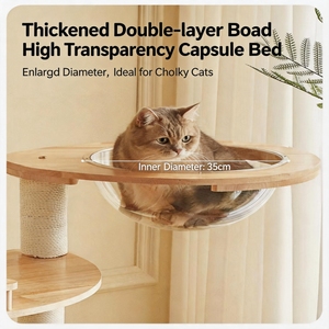 Torre <span class=keywords><strong>de</strong></span> Madera <span class=keywords><strong>de</strong></span> Lujo para Gatos con Cápsula Espacial y Logotipo Personalizado, Muebles Modernos para Gatos <span class=keywords><strong>de</strong></span> Varios Niveles, Venta al Por Mayor OEM - Product Image 4