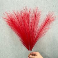 Boho Large Plume Fleurs séchées naturelles Herbe de pampa pour mariage et décoration intérieure pour Noël Saint Valentin Pâques