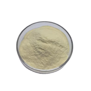 <span class=keywords><strong>Lactobacillus</strong></span> Rhamnosus LR663 Polvo probiótico Alta viabilidad a granel GMP Certificado estabilizado - Product Image 1