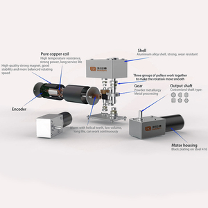 Faradyi 4058 1nm <span class=keywords><strong>Motor</strong></span> de engranaje helicoidal CC sin escobillas de alto Torque Imán permanente 12V 24V <span class=keywords><strong>Motor</strong></span> eléctrico de engranaje helicoidal para puertas automáticas - Product Image 4