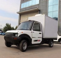 Mini camionnette électrique de véhicule de nouvelle énergie chinoise avec la cabine simple 4x2 et le mini camion électrique moderne de 2 sièges