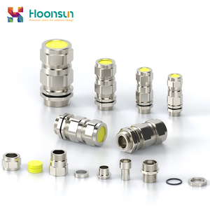 Presse-étoupe blindé en acier inoxydable à double étanchéité antidéflagrant avec filetage NPT - Product Image 6