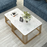 Table basse de salon pliable et mobile, gain de place, ensemble de 2 tables basses, cadre en acier inoxydable doré moderne, marbre