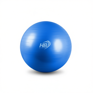 Pelota de Yoga Lisa de 75 cm y 900 g para tu Práctica de Yoga - Product Image 1