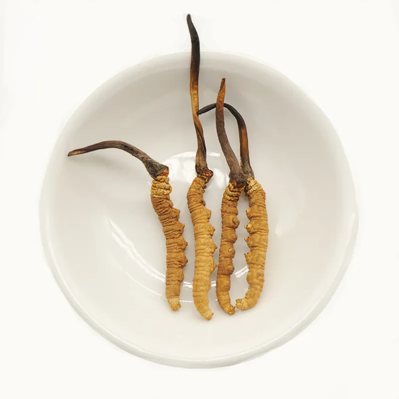 4000pcs प्रति किलो शुद्ध जंगली Nagqu शीर्ष ग्रेड Cordyceps sinensis एम आकार