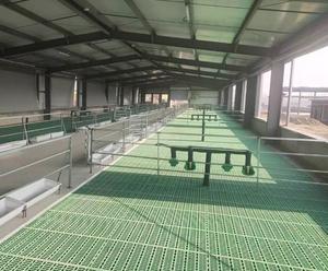 Tùy chỉnh dê cừu nhựa đá đen sàn Mat tránh nấm vấn đề da cho dê - Product Image 2