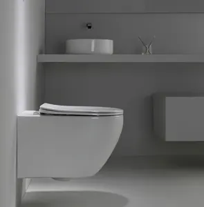 المعايير الأوروبية الحمام جديد دوامة 4.5L Wc جدار شنت طقم مرحاض الجدار علقت المرحاض Wc Suspendu BF2416