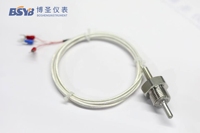 Sonde de température RTD filetée OEM personnalisée en acier inoxydable, sonde thermorésistive, contrôle de la température BSYB