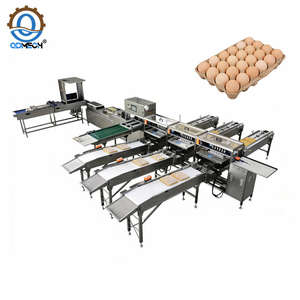 Schlüsselfertige Automatische Eier-Sortier- und Verpackungslinie mit Flexibler Kapazitätsanpassung Eier-Sortier- und Verpackungsmaschinen-Produktionslinie - Product Image 4
