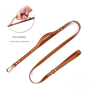 Set di Imbracature per Cani in Pelle PU di Lusso Personalizzato con NASTRI, Impermeabile e Morbido, Design alla Moda per Passeggiate con Cuccioli - Product Image 3