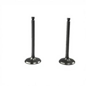 Pièces de générateur à essence de 4,0 chevaux-vapeur 152F154F156 Pompe à eau de puissance Pulvérisateur Batteuse Soupapes d'admission et d'échappement Culbuteurs - Product Image 5