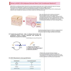 Crème pour le visage à la mucine d'escargot de qualité supérieure coréenne pour éclaircir et régénérer la peau - Product Image 2