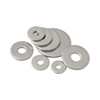 Rondelle plate fendue en acier inoxydable M4 M5 M6 M8 M10 N12 N14 N16 M18 M20 M22 M30 DIN125 Zinc Arandela Acero Inoxidable