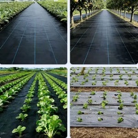 Zware PP geweven onkruidfolie, UV-bestendig, opvouwbaar, ademend, grondbedekking voor moestuin en landschapsarchitectuur.