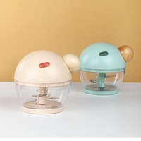 Handmatige plastic knoflook- en vleesmolen, mini huishoudelijke groentesnijder, gember-knoflookhakker, babyvoedselblender, roestvrij staal