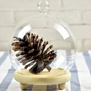 Décoration d'intérieur DIY : Dôme <span class=keywords><strong>en</strong></span> <span class=keywords><strong>verre</strong></span> <span class=keywords><strong>soufflé</strong></span> pour pot, plante, fleur, vitrine <span class=keywords><strong>de</strong></span> <span class=keywords><strong>Noël</strong></span> avec base <span class=keywords><strong>en</strong></span> liège écologique - Product Image 1