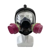Masque à Gaz Complet Anti-rayonnement et Boîte Filtrante, Produit